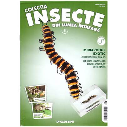 Insecte din lumea intreaga nr.8 - Miriapodul exotic