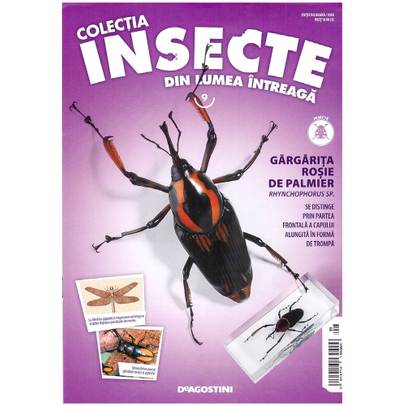 Insecte din lumea intreaga nr.9 - Gargarita rosie de palmier