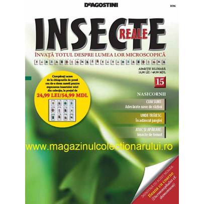 Insecte reale nr.15 - Nasicornii