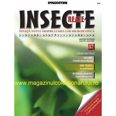 Insecte reale nr.17 - Gargaritele