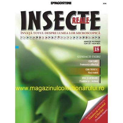 Insecte reale nr.18 - Gandacii tigru