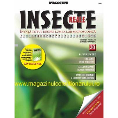 Insecte reale nr.20 - Buburuzele