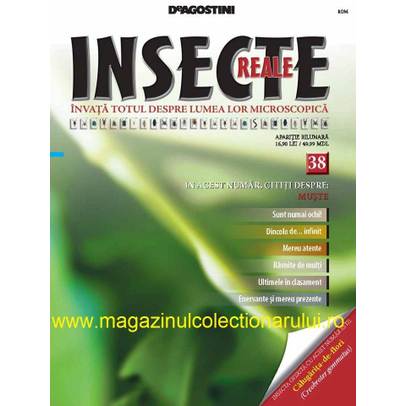 Insecte reale nr.38 - Muste