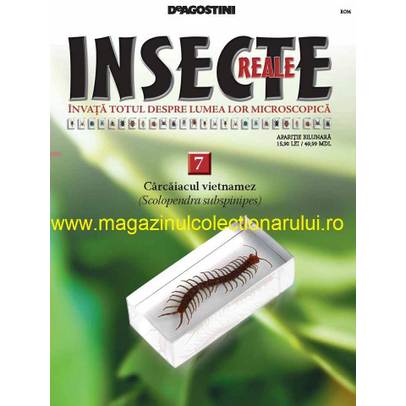 Insecte reale nr. 7 - Carcaiacul vietnamez