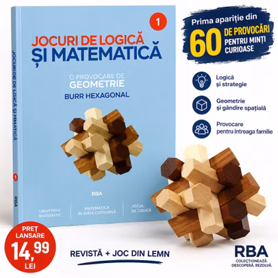 Jocuri de Logica si Matematica Nr.1 Burr Hexagonal RBA