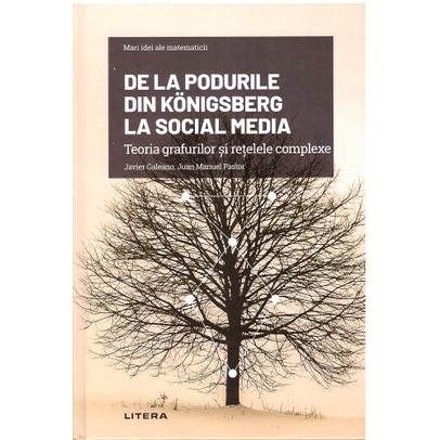 Mari idei ale matematicii Nr. 20 - De la podurile din Konigsberg la social media