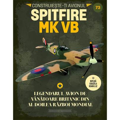 Supermarine Spitfire MkVb Nr.73