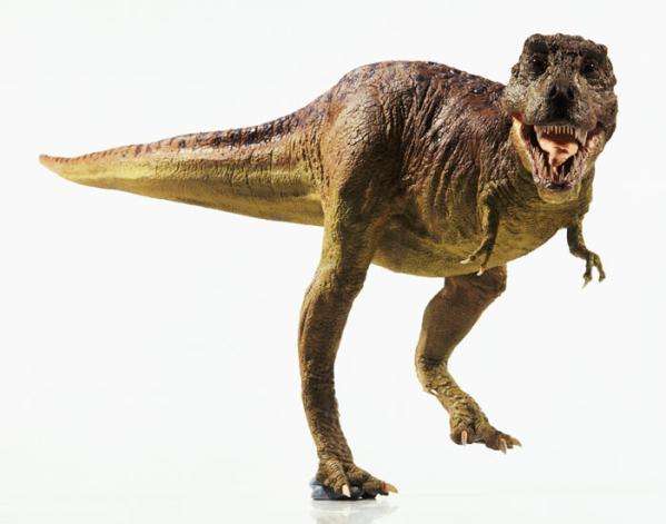 Distreaza-te si construieste TYRANNOSAURUS REX