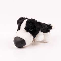 Catei de plus nr. 5 - Border Collie