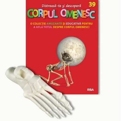 Distreaza-te si descopera corpul omenesc Nr. 39 - ed. 2024