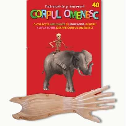 Distreaza-te si descopera corpul omenesc Nr. 40 - ed. 2024