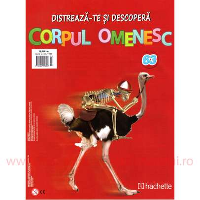 Distreaza-te si descopera Corpul Omenesc 2016 nr.63 - Spatele