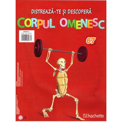 Distreaza-te si descopera Corpul Omenesc 2016 nr.67 - Suport superior fata