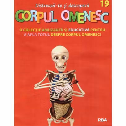 Distreaza-te si descopera corpul omenesc Nr. 19 - ed. 2024