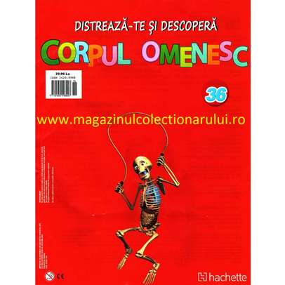 Distreaza-te si descopera corpul omenesc 2016 Nr.36 - Bratul posterior stang