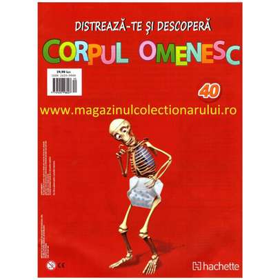 Distreaza-te si descopera corpul omenesc 2016 Nr.40 - Trunchiul posterior