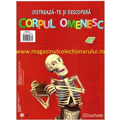 Distreaza-te si descopera corpul omenesc 2016 Nr.47 - Muschiul coapsei anterioare drepte