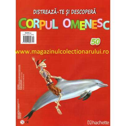 Distreaza-te si descopera corpul omenesc 2016 Nr.50 - Gamba posterioara stanga