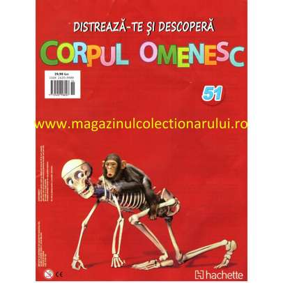 Distreaza-te si descopera corpul omenesc 2016 Nr.51 - Laba piciorului stang