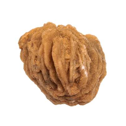 Mineralele pamantului nr.16 - Ghips (Trandafir de desert)-2