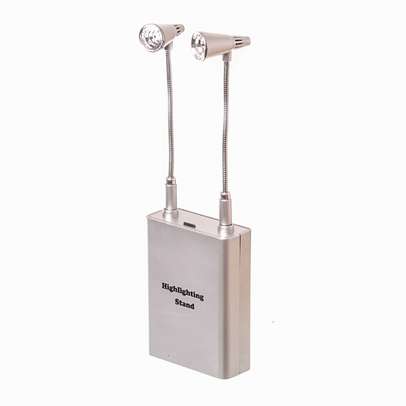 Lampa pt iluminat cu 2 led-uri pe cablu flexibil argintiu